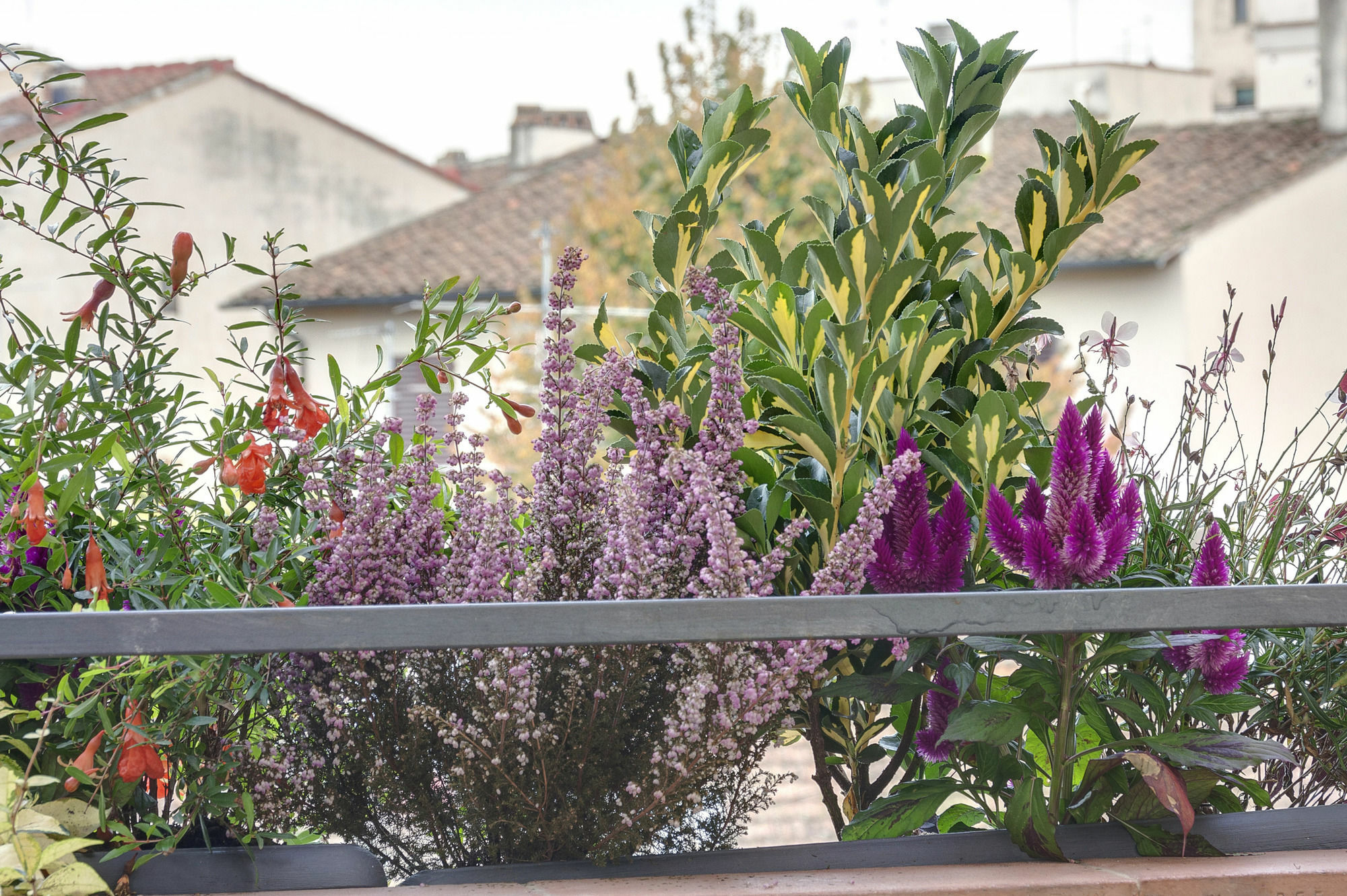 Dolce Vita Suite Florens Exteriör bild